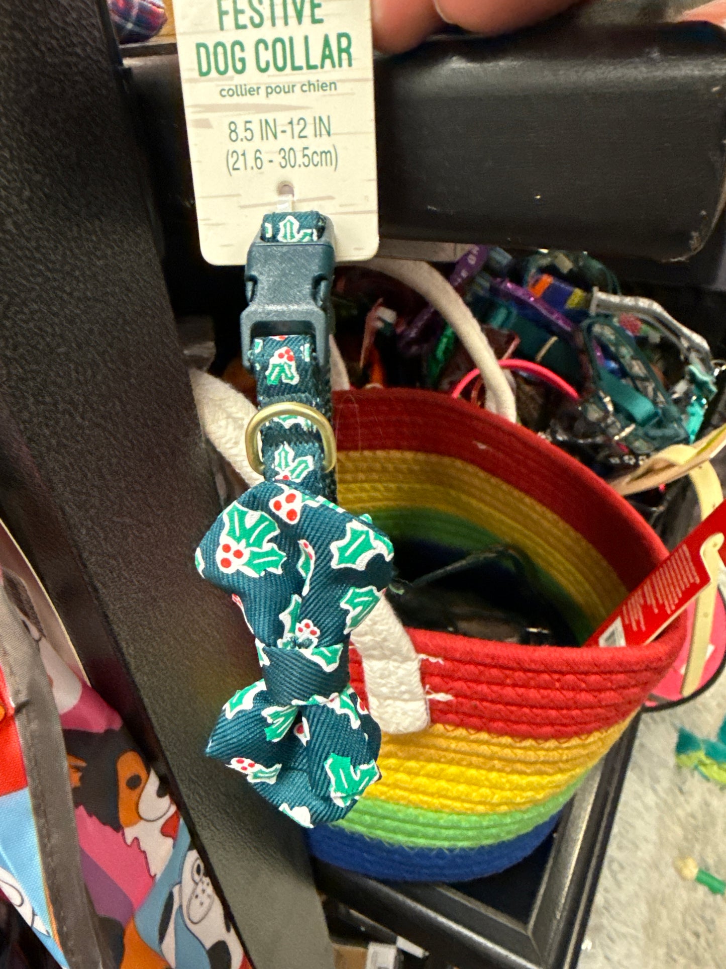 Merry & Bright Festive Dog Collar Holly with Bowtie