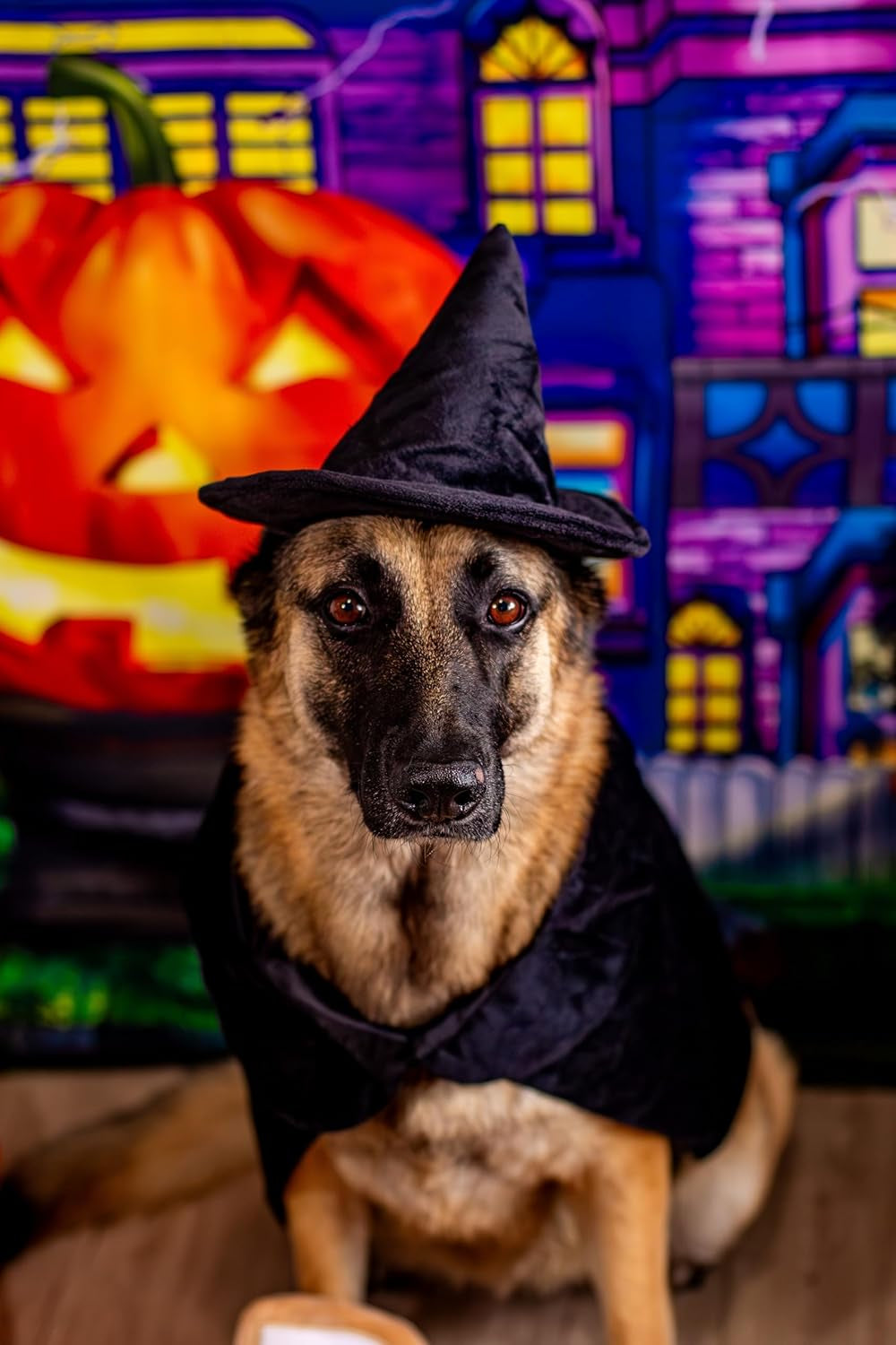 Halloween Witch Cape and Hat Dog Costume (X-Large)