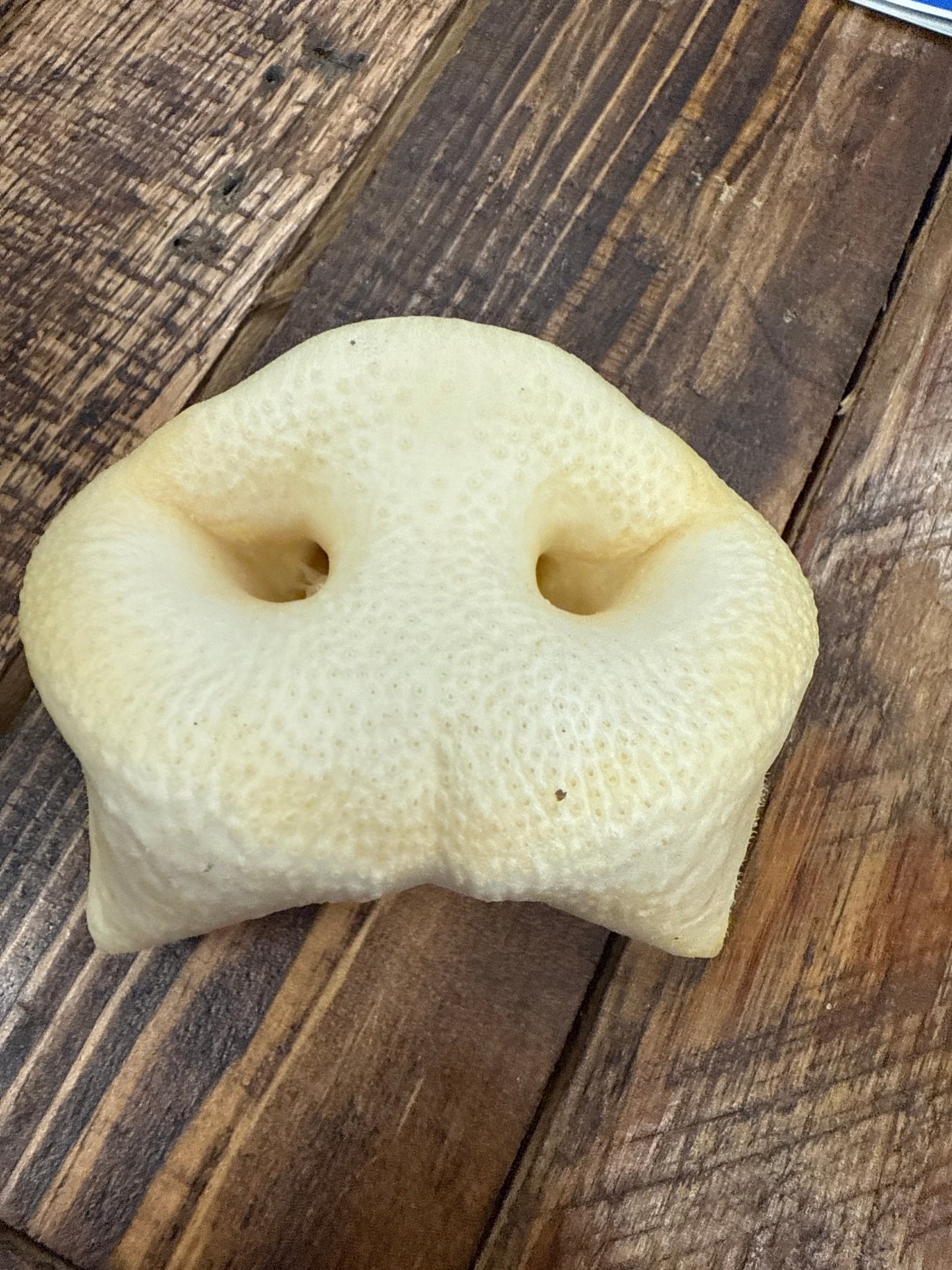 Pork Snout Dog Treat