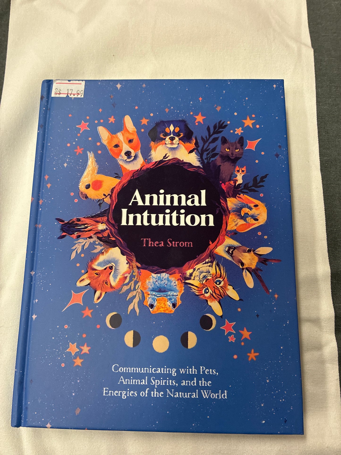 Animal intuition By Thea Strom