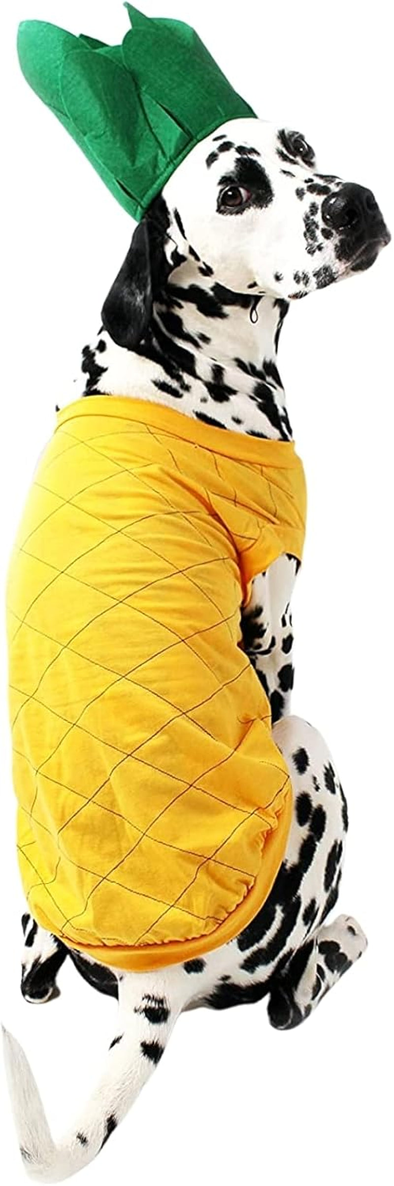 Pineapple Dog Halloween Costume (Medium)