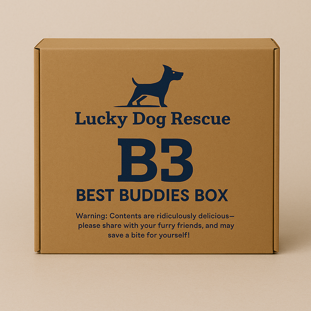 B3 Best Buddies Treat Box
