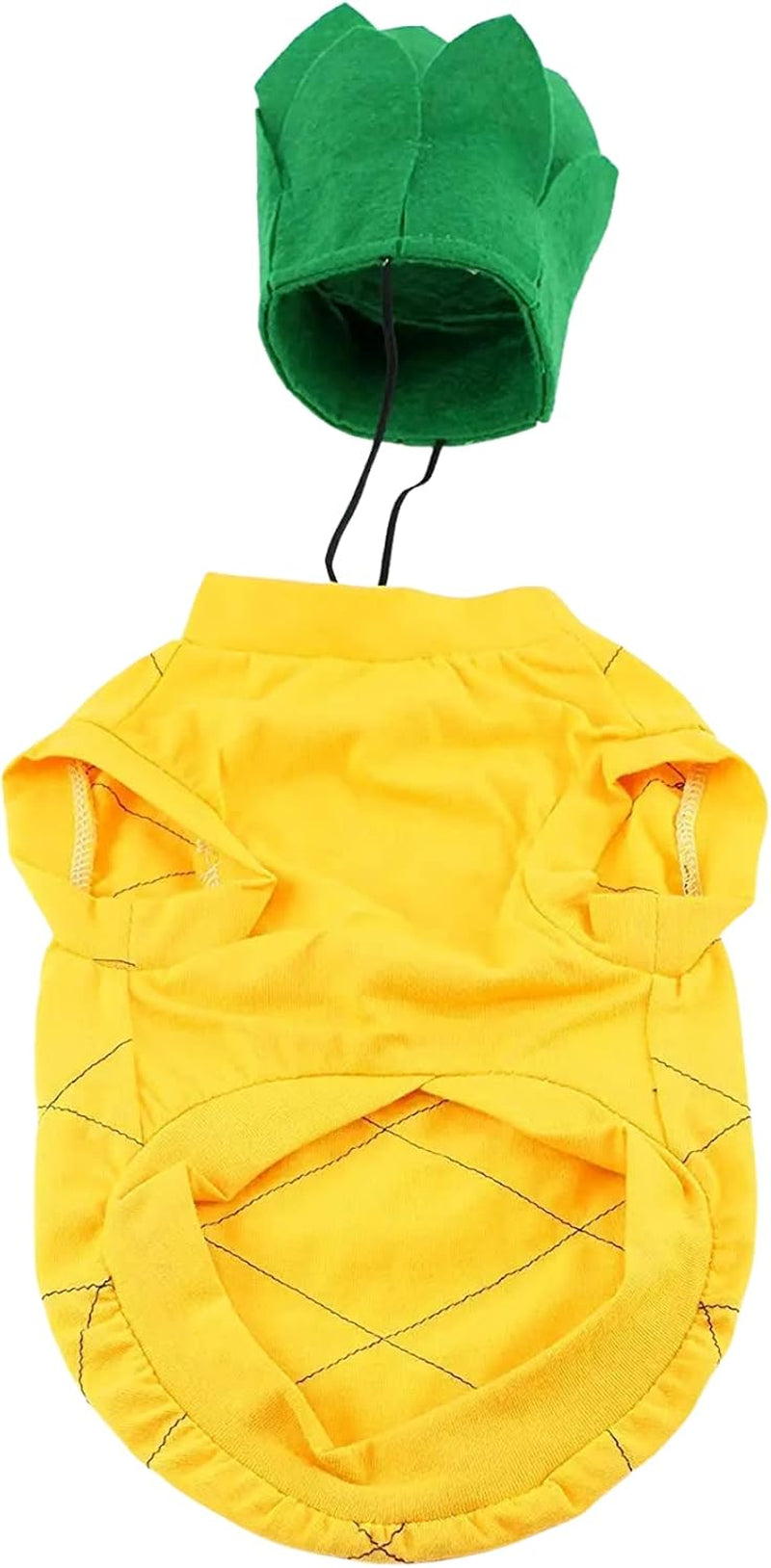 Pineapple Dog Halloween Costume (Medium)