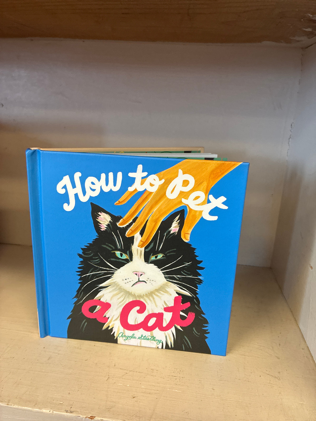 How to pet a Cat By Angela Staehling