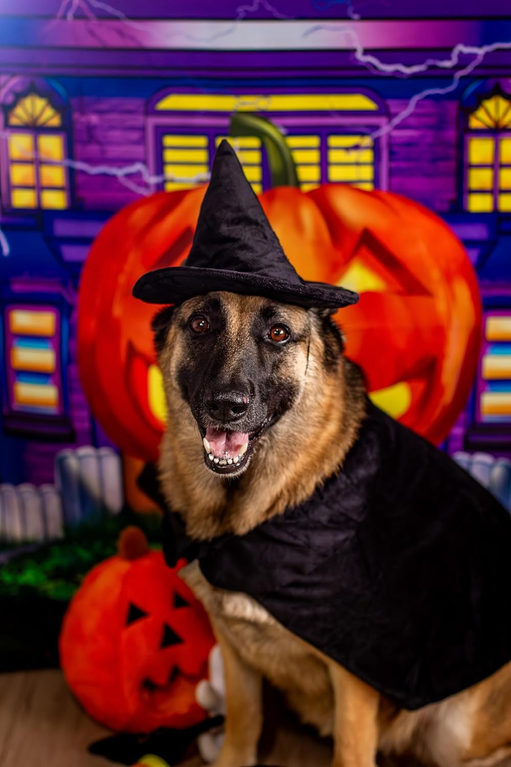 Halloween Witch Cape and Hat Dog Costume (X-Large)