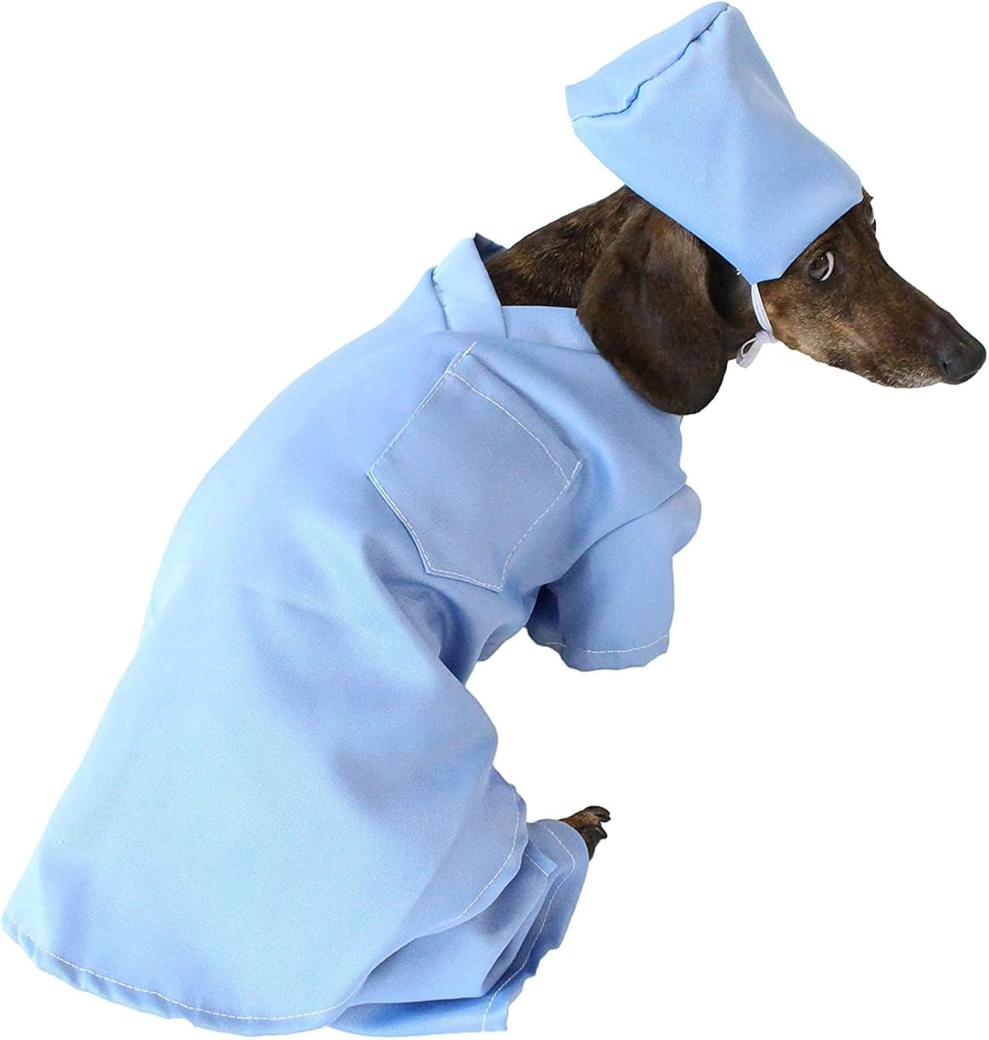 Scrubs Dog Costume (Medium)