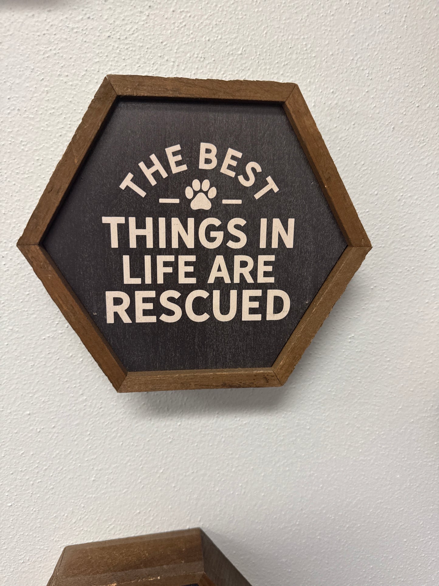 The best things in life are rescued hexagon wooden sign
