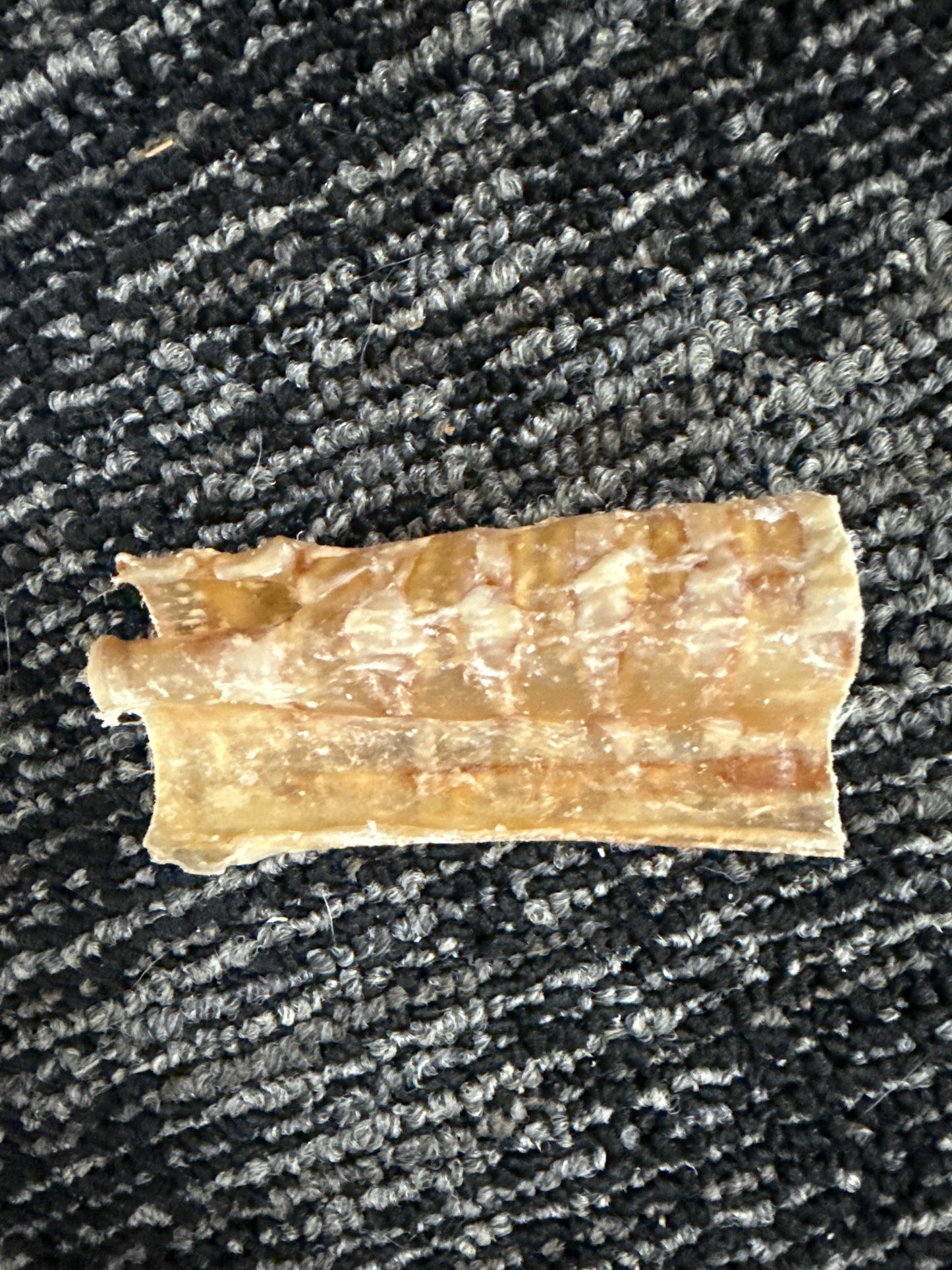 3” Beef Trachea Dog Teats