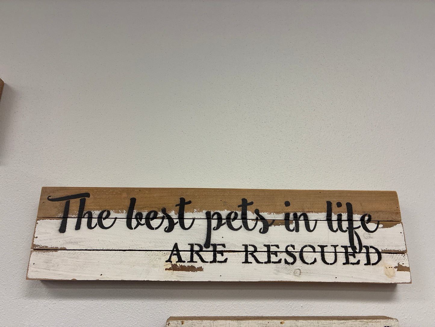 The best pets in life are Rescued