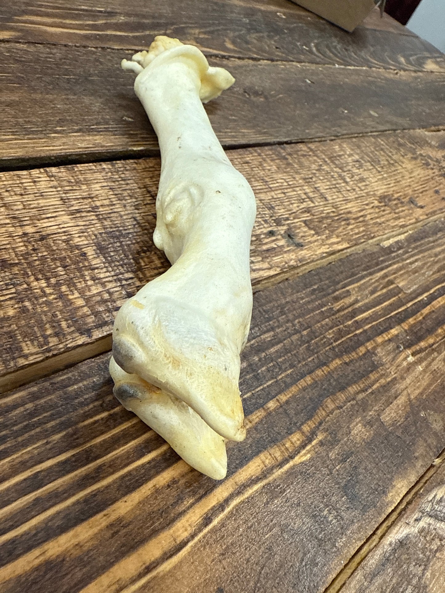 Lamb Foot/Trotters Dog Treat