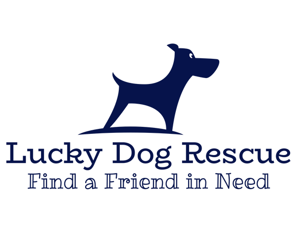 Lucky Dog Rescue