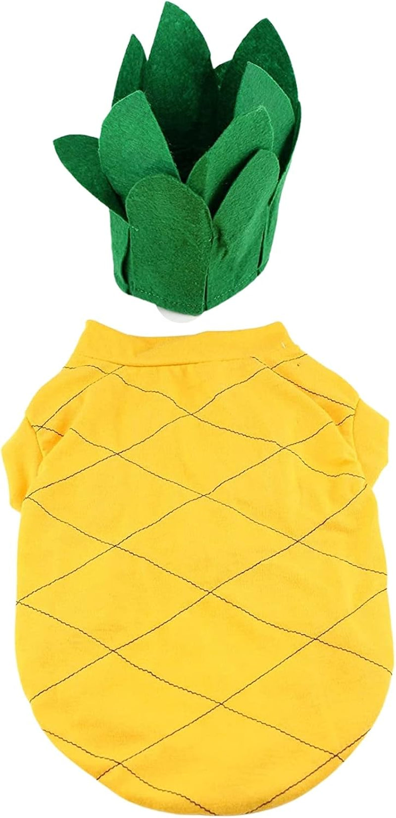 Pineapple Dog Halloween Costume (Medium)