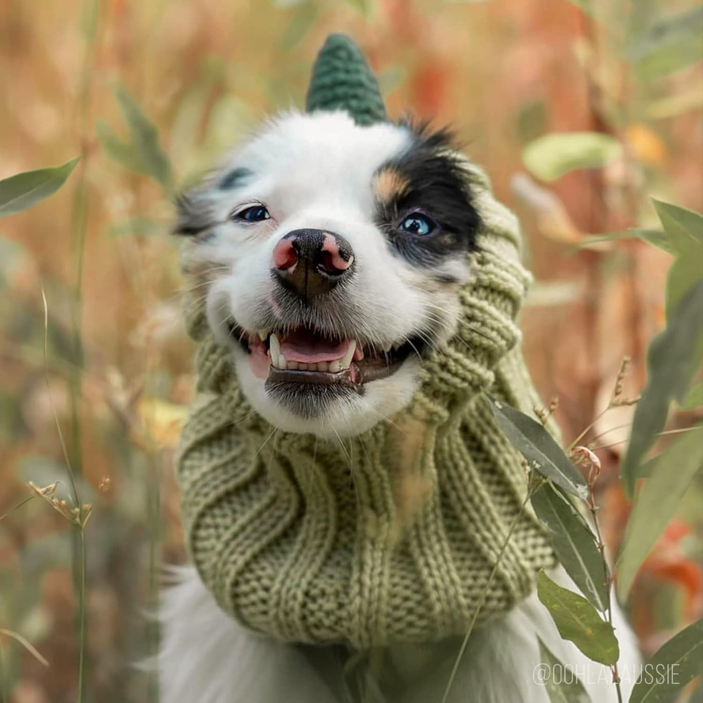 Dinosaur Costume - Warm Knit Dog Snood Wrap for Pets, Neck Ear Cover Protection, Halloween Winter (Small)