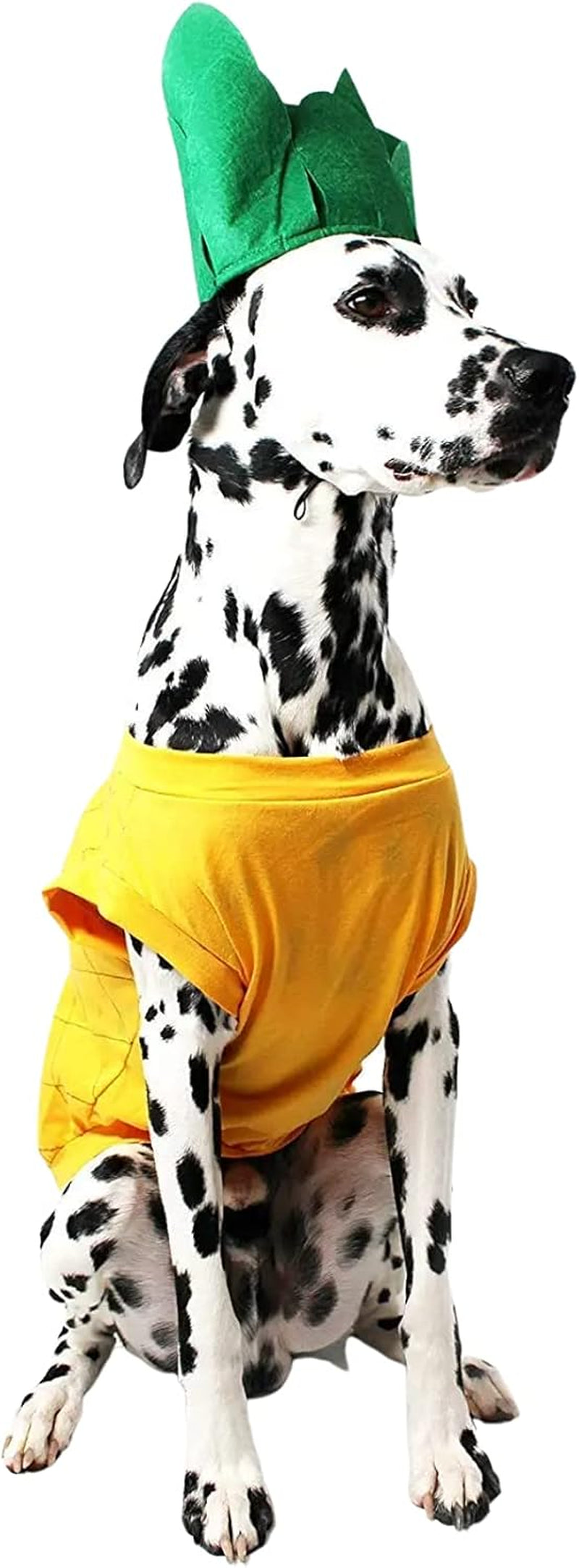 Pineapple Dog Halloween Costume (Medium)