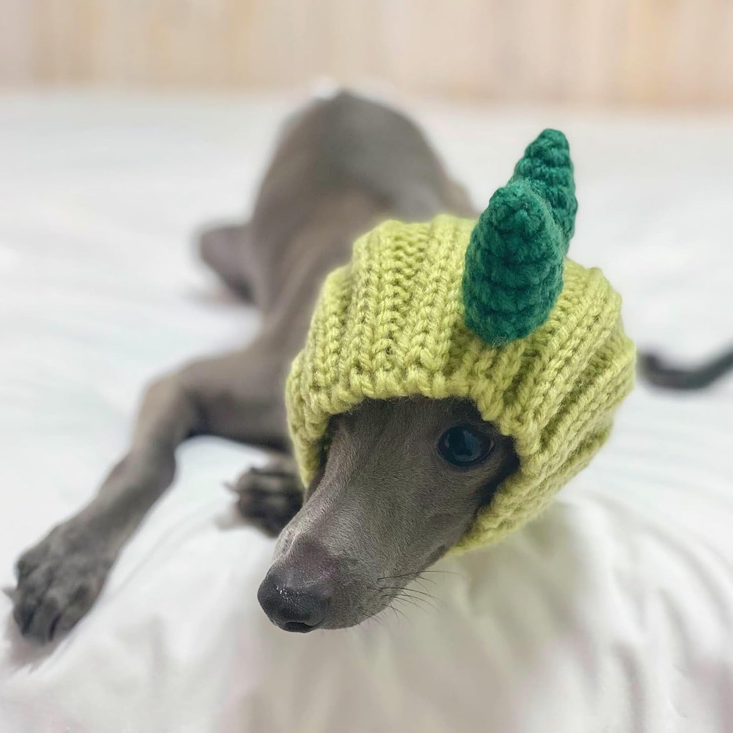 Dinosaur Costume - Warm Knit Dog Snood Wrap for Pets, Neck Ear Cover Protection, Halloween Winter (Small)