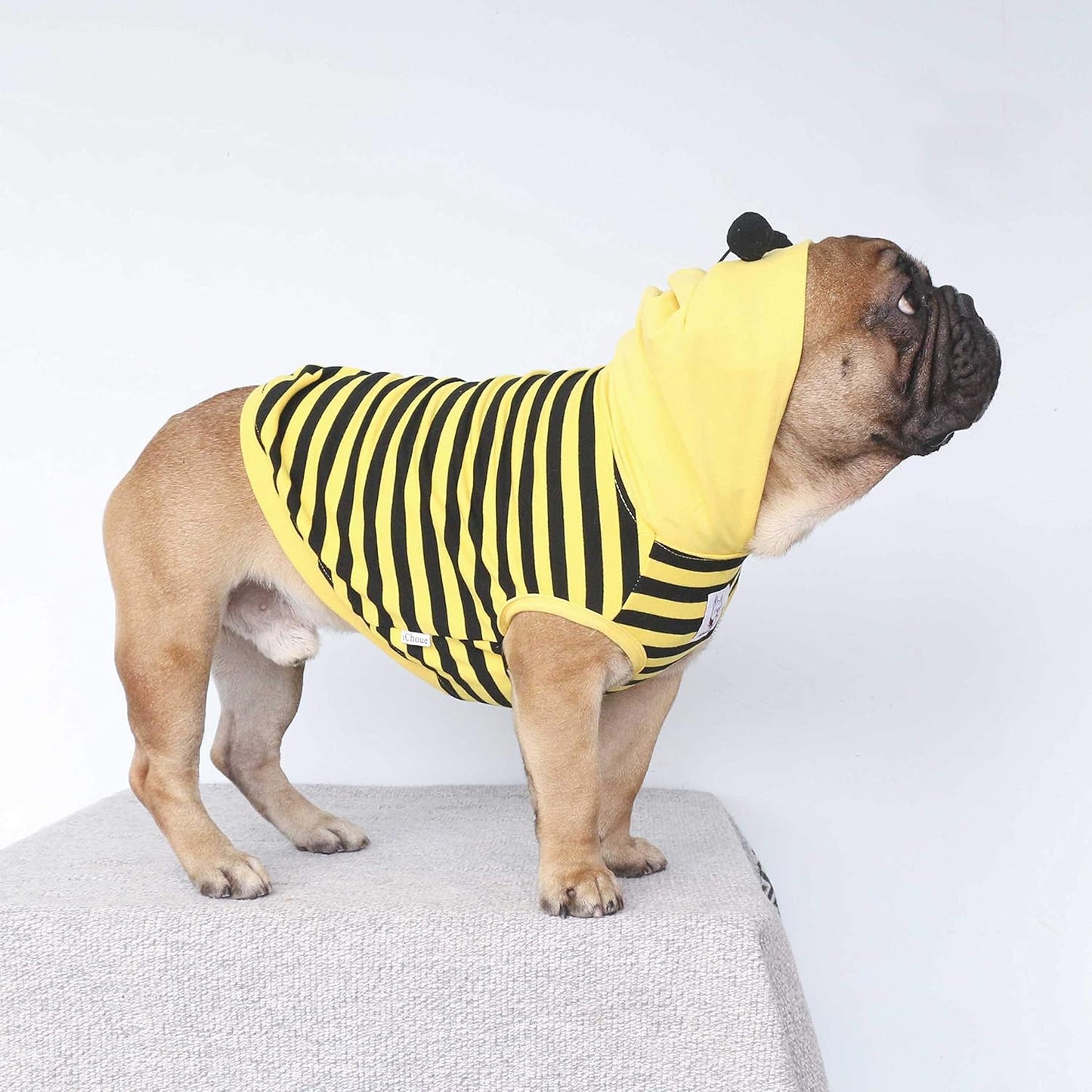 French Bulldog Bee Honeybee Bumblebee Caterpillar Insect Halloween Costumes Hoodies Sleeveless Clothes Outfits Cosplay Shirts for Dogs Frenchie Pug Boston - Black Yellow, Medium
