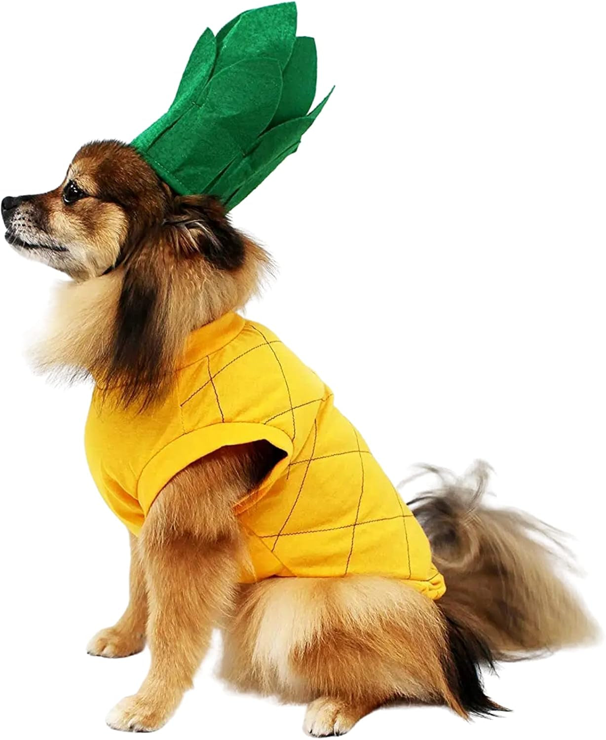 Pineapple Dog Halloween Costume (Medium)