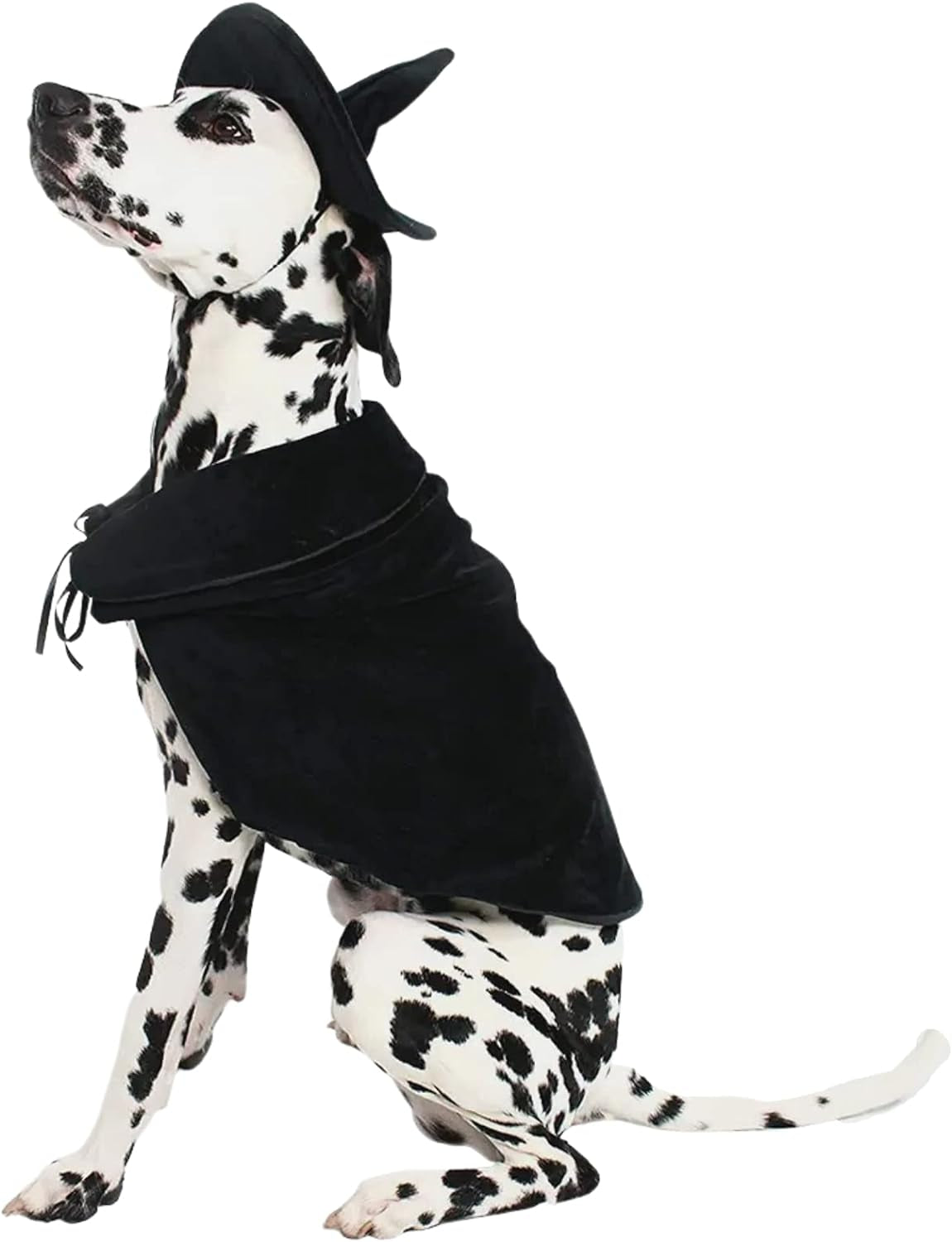 Halloween Witch Cape and Hat Dog Costume (X-Large)
