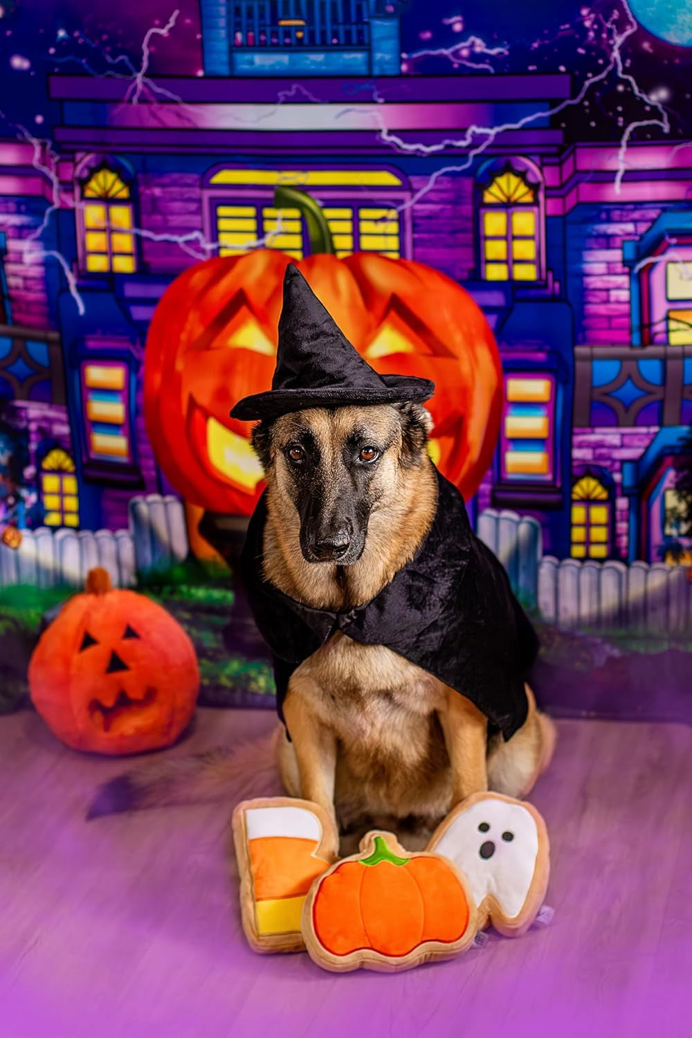 Halloween Witch Cape and Hat Dog Costume (X-Large)