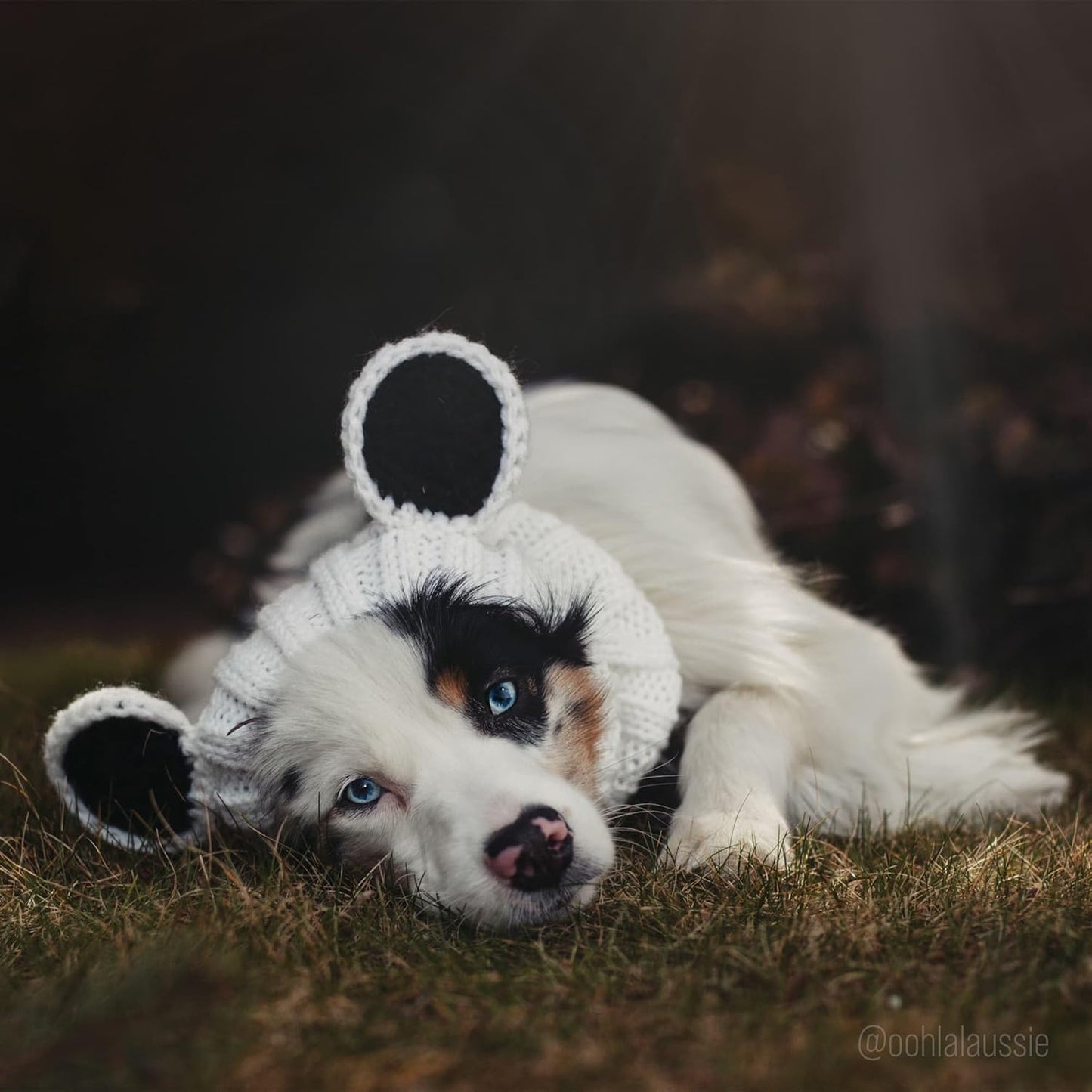 Panda Costume - Warm Knit Dog Snood Wrap for Pets, Neck Ear Cover Protection, Halloween Winter (Small)