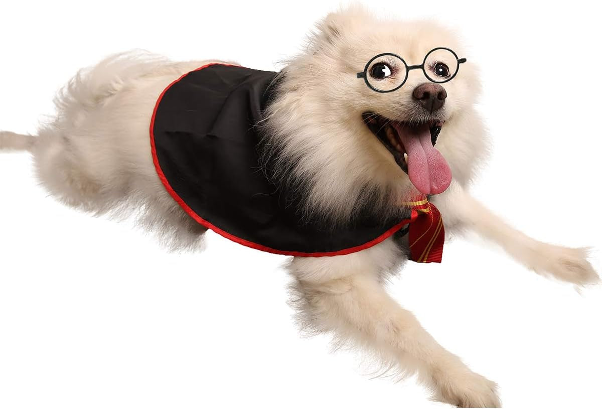 Halloween Dog Costume Pet Wizard Shirt Cat Soft Clothes for Dogs Cats Soft Hoodies with Glasses (Medium)