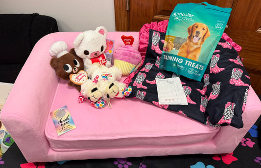 Galentine’s Day Basket $20/line Veteran’s Essentials 10 Line Raffle Auction Fundraiser