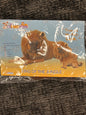 The ImPawsters King of the Jungle Lion Costume