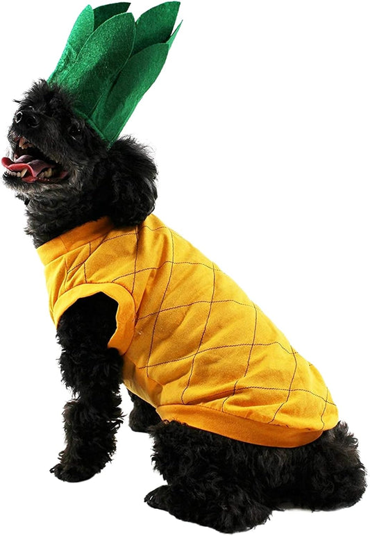 Pineapple Dog Halloween Costume (Medium)