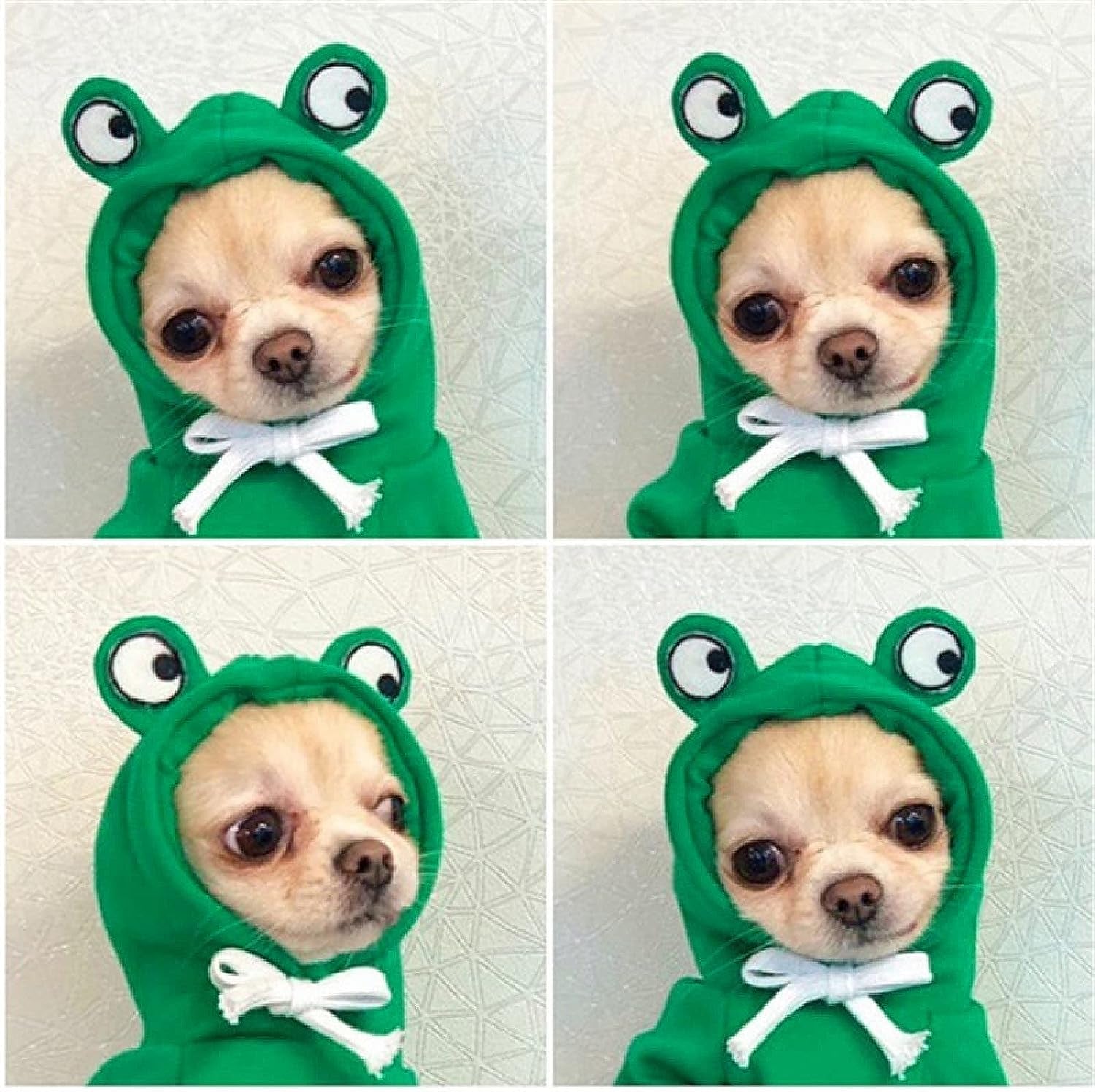 Warm Dog Winter Clothes Cute Fruit Dog Coat Hoodies Fleece Pet Dogs Costume Jack