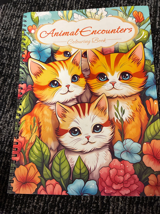 Animal encounters coloring book