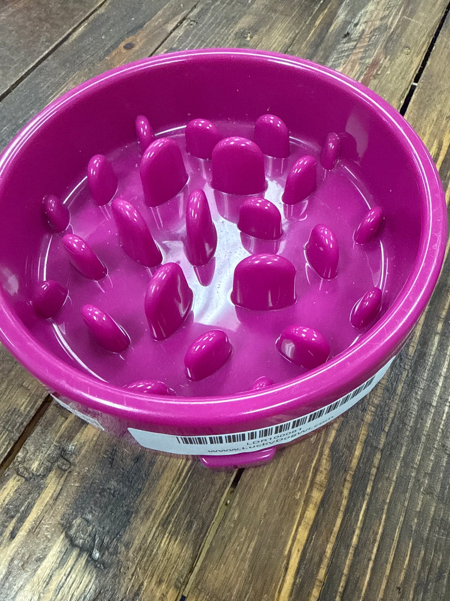 Happy Hunting Slow-feed Dog Pet Cat Bowl