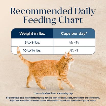 Basics Grain-Free Dry Cat Food, Skin & Stomach Care, Limited Ingredient Diet for Indoor Cats, Turkey & Potato Recipe, 11-Lb. Bag