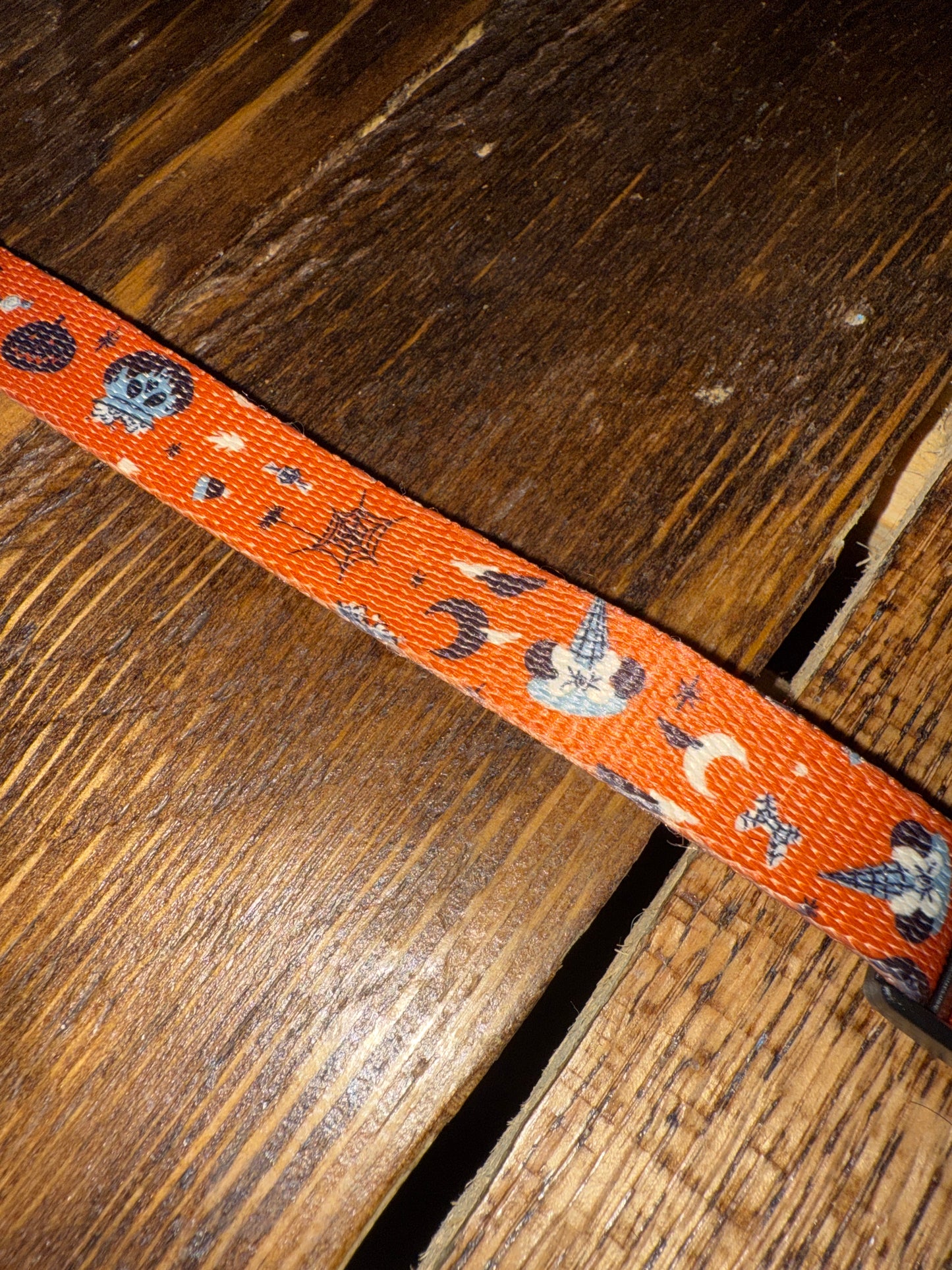 Disney Spooky Dog Collar Small Minney Mouse Witch