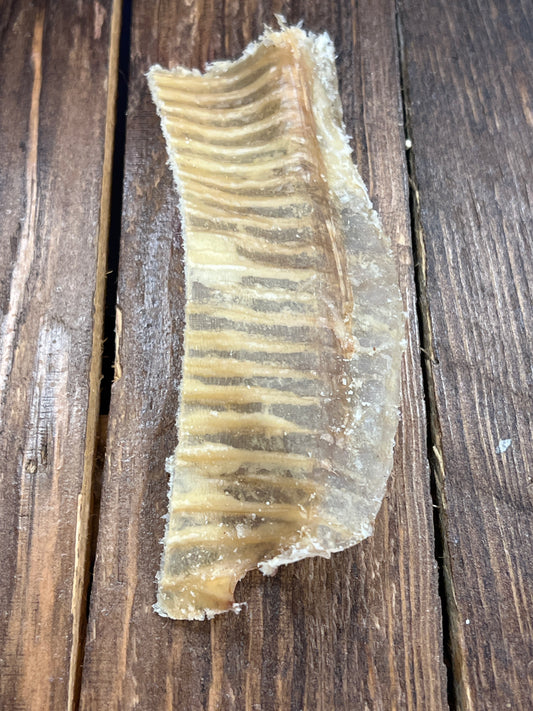 6” Beef Trachea dog treat chew