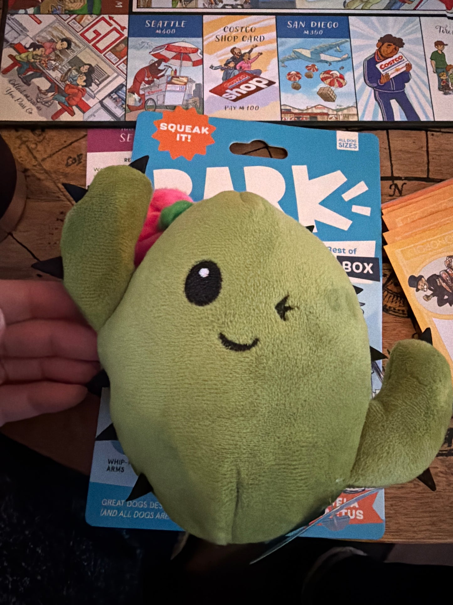 BARK Consuela the Cactus dog toy all sizes