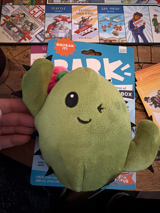BARK Consuela the Cactus dog toy all sizes