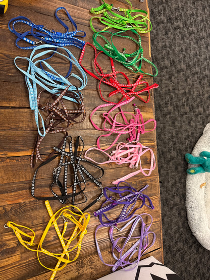 Small Dog Leash and Collar Set with Bell Assorted Colors