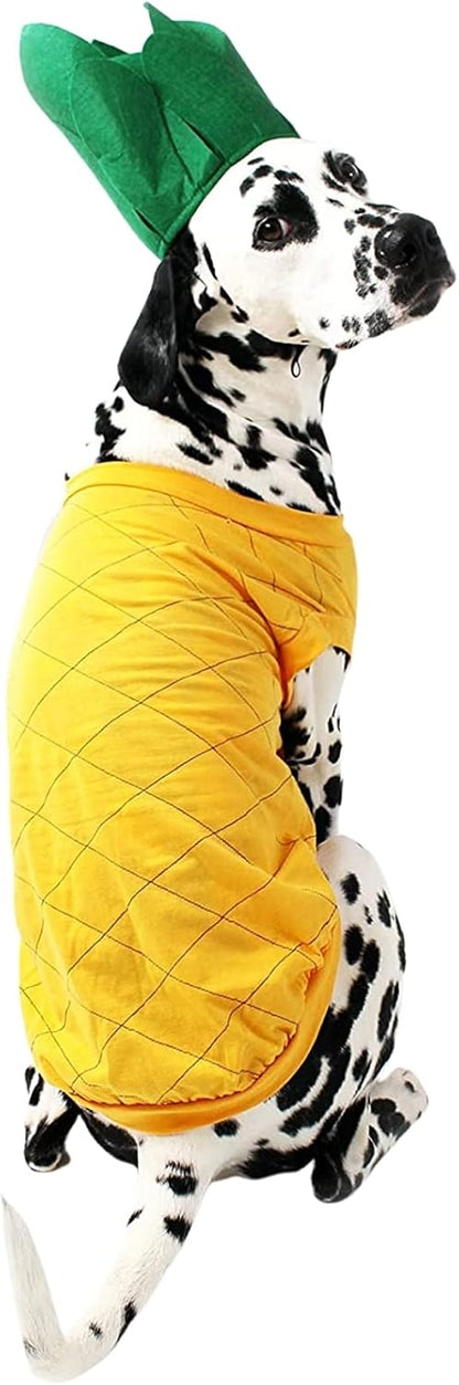 Pineapple Dog Halloween Costume (Medium)