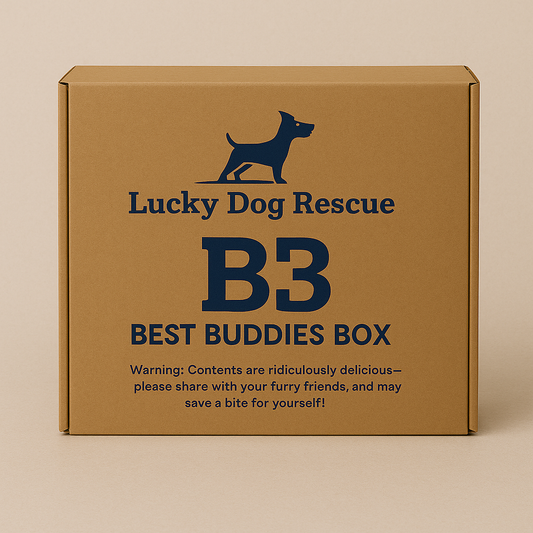 B3 Best Buddies Treat Box