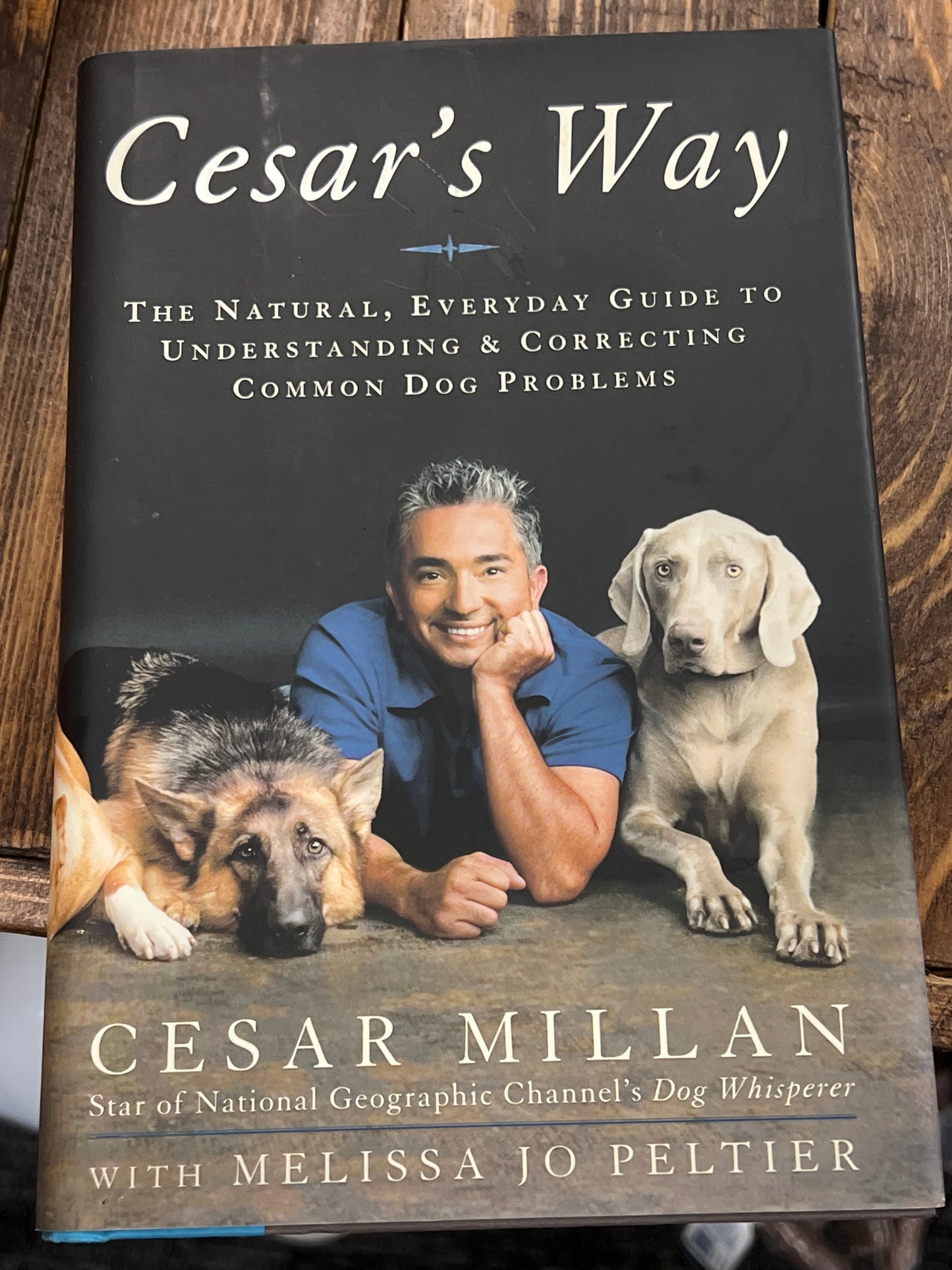 Book Cesar’s Way by Cesar Millan