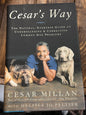 Book Cesar’s Way by Cesar Millan