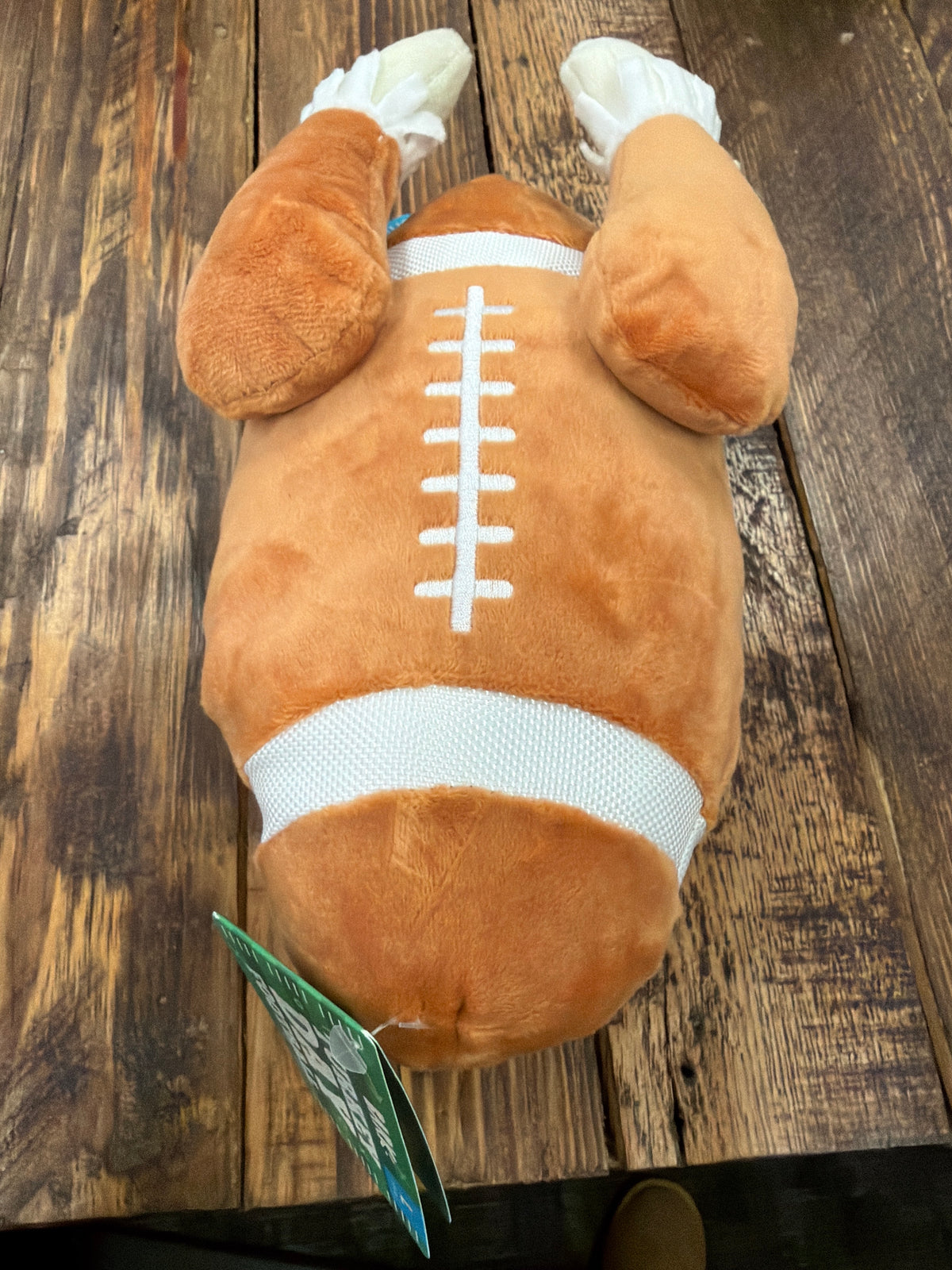 Bark Turkey Day Football