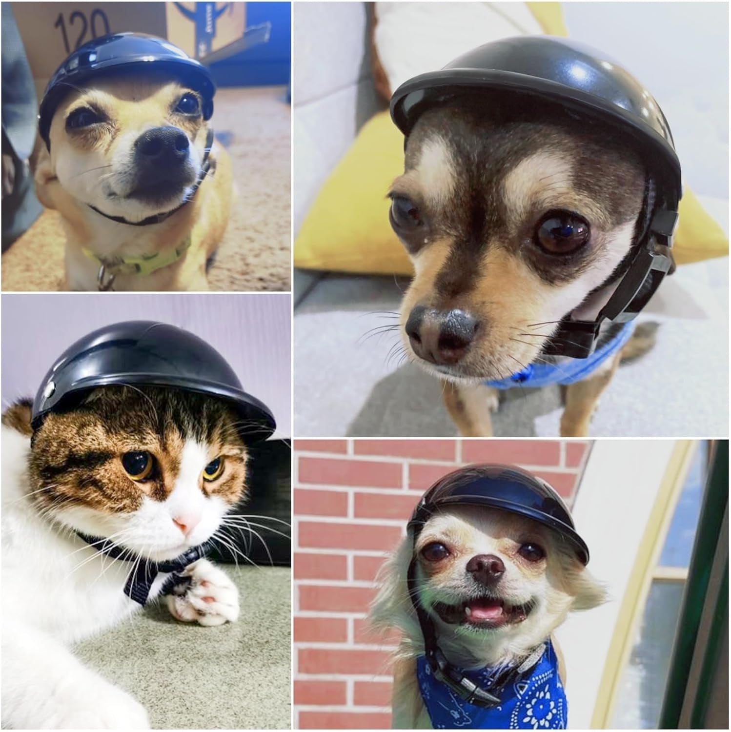 Dog Helmet for Small Dogs, Motorcycle Dog Helmets Chihuahua Helmet, Outdoor Bike Doggie Helmets Cat Hat XS to Small Breed, Outdoor Puppy Cap, Adjustable, Black S