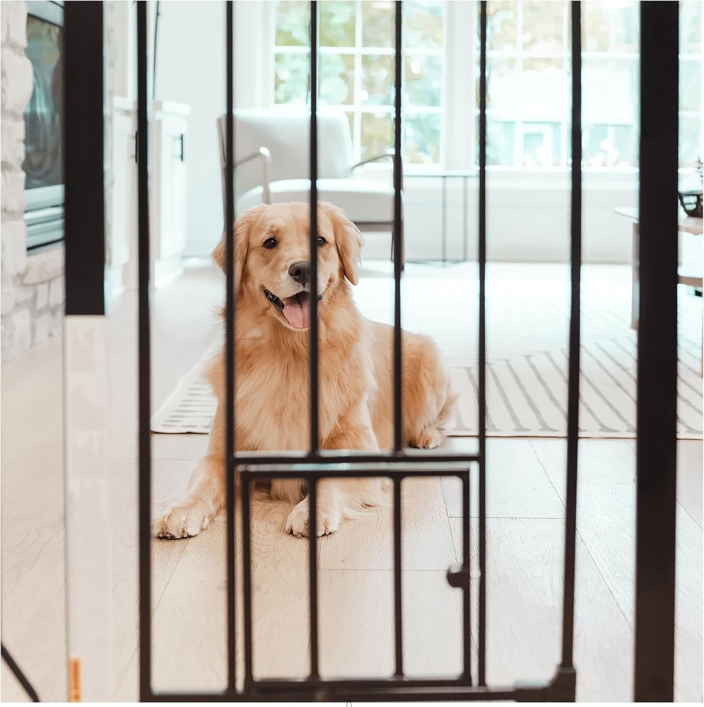 Carlson Extra Tall Walk Through Pet Gate with Small Pet Door, for Openings 29"-39" Wide, Includes 4-Inch Extension Kit, 4 Pack Pressure Mount Kit and 4 Pack Wall Mount Kit, Black
