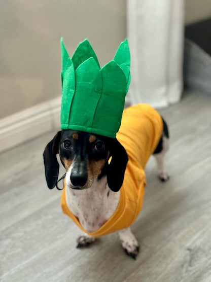 Pineapple Dog Halloween Costume (Medium)