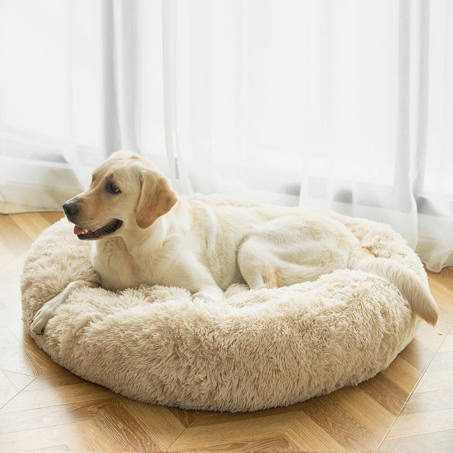 Washable Dog round Bed Large, Donut Dog Bed Large Dog, Comfy Dog