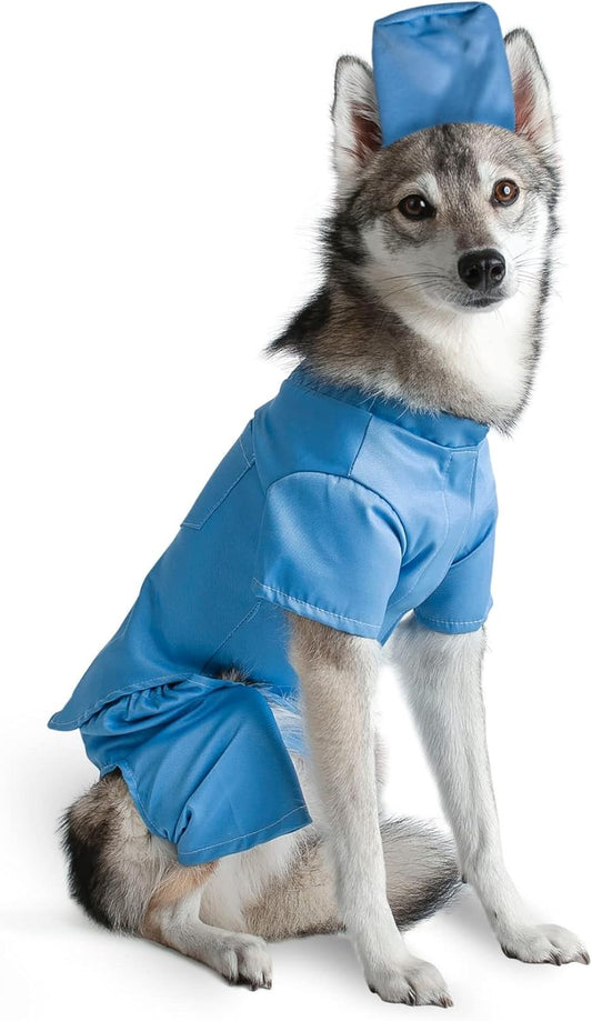 Scrubs Dog Costume (Medium)