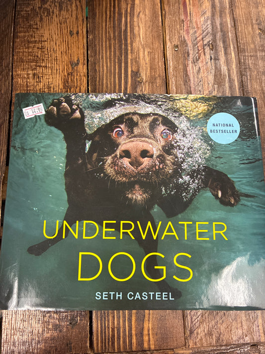 Underwater dogs by Seth Casteel