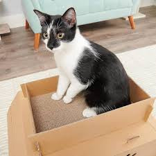 Carlson Cat Camper Cardboard Scratcher Model 1000dS
