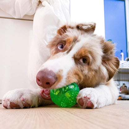 Durasqueak Dog Ball Toy, Interactive Dog Toys That Float and Squeaks for Playing, Fetching and Retrieving-Great Alternative to Traditional Tennis Balls Green 2.5 Inch